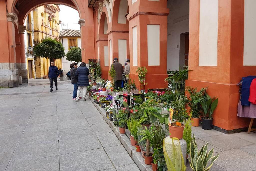 Apartamento San Pedro-Corredera Kordoba Bagian luar foto